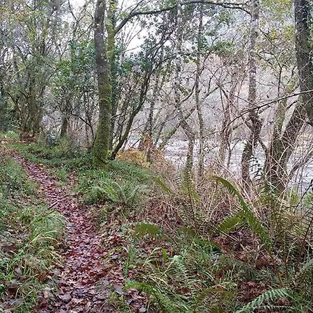 Quarto em Acomodações Particulares Rosalia *