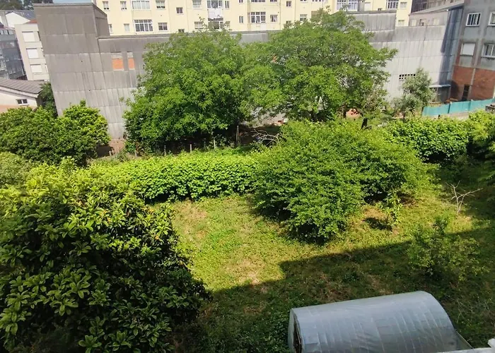 Rosalia א אסטרדה